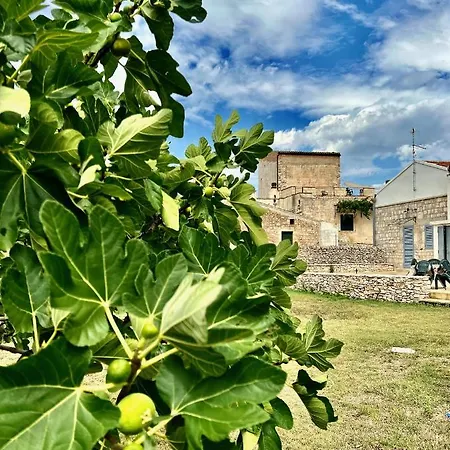 Donna Camilla Santeramo in Colle