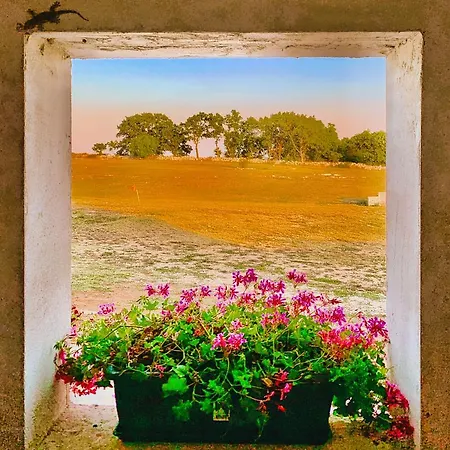 Masseria Contursi - Donna Camilla Holiday home Santeramo in Colle